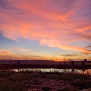 Meet your Posher, Marla